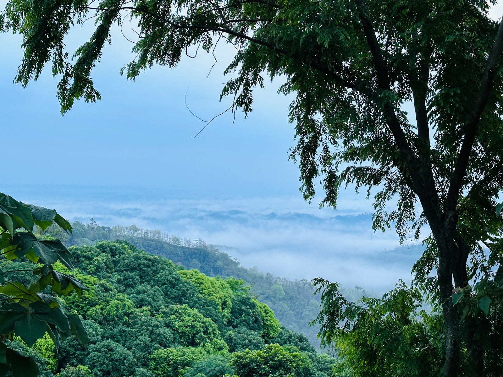 জাদুকাটা নদী