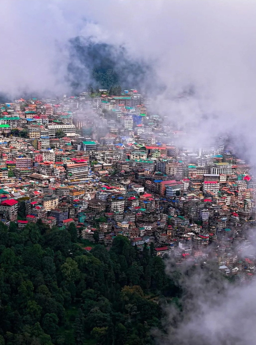 darjeeling