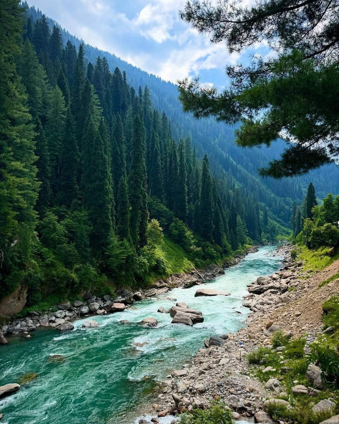 kashmir